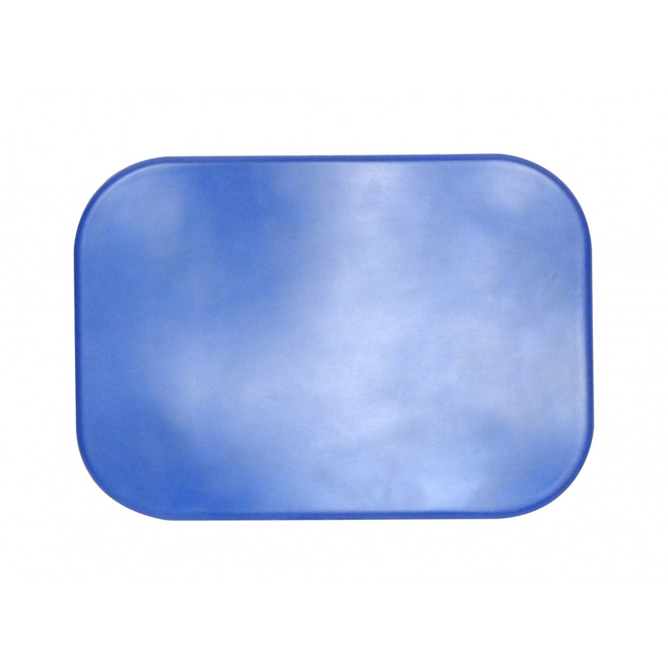 Blue Back Rest Pad