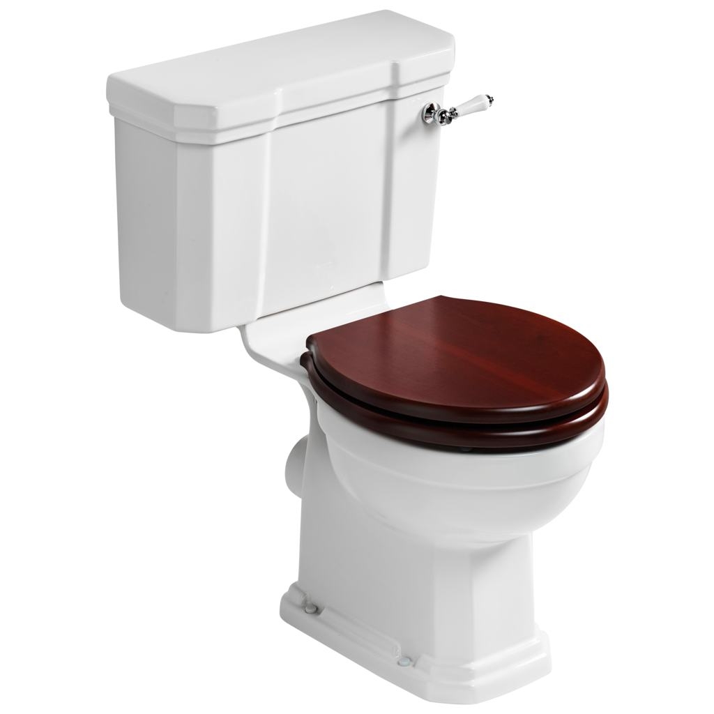 Toilet seat, cistern sold separately