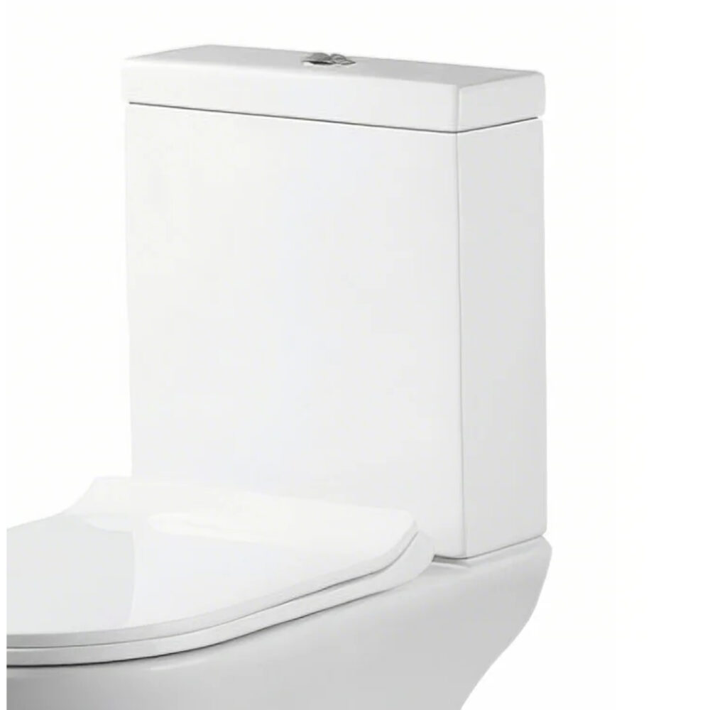 Scudo - DEIA - Cistern & Fittings (6/4L Pushbutton)